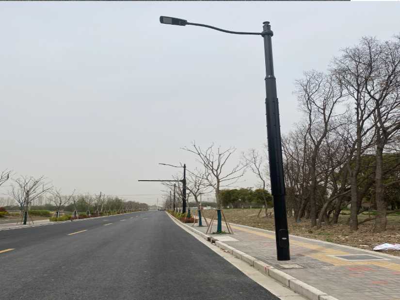 嘉义市上海综合杆 太阳能路灯工程
